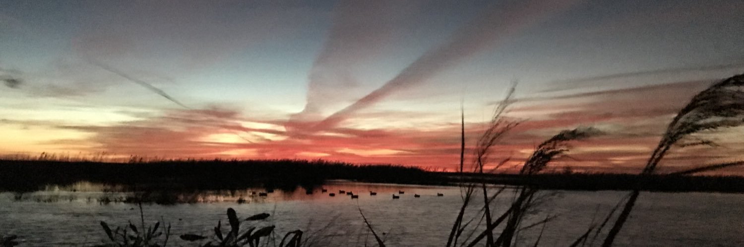 ShacreelOneal's profile banner image