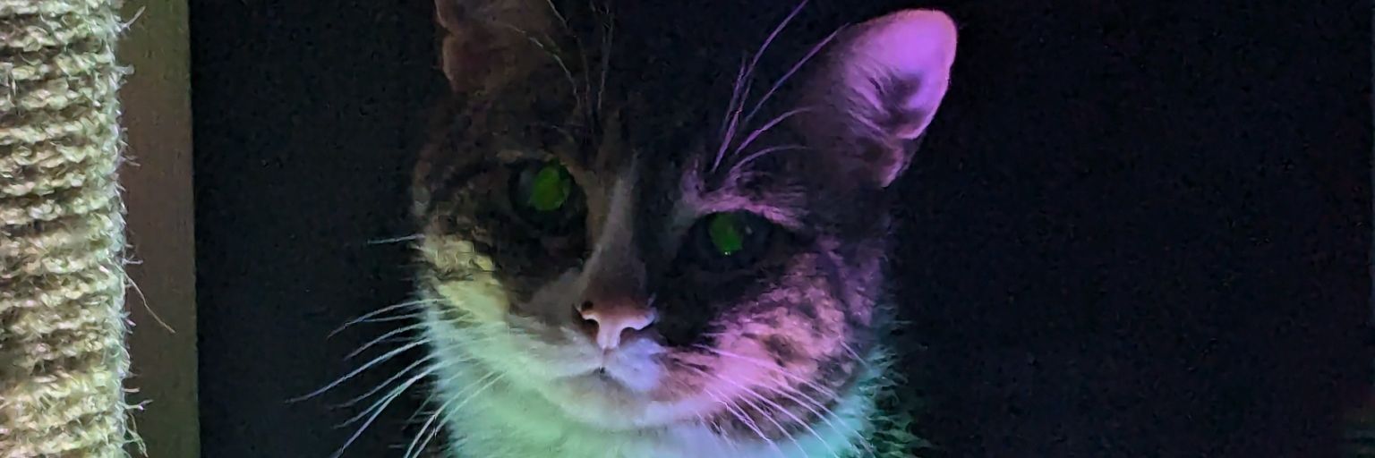 fullmetalwing's profile banner image