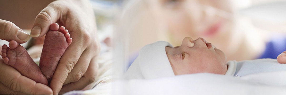 LupinePAPN's profile banner image