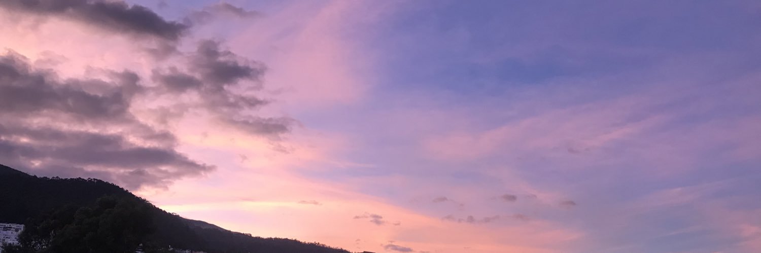 Diego Pérez Enríquez banner