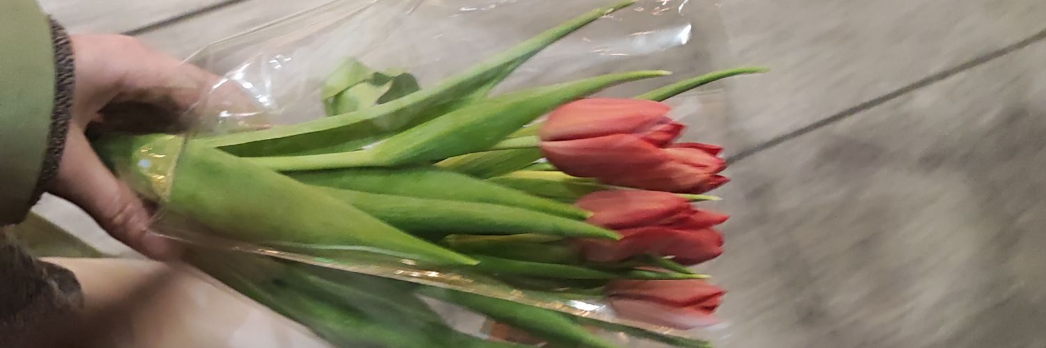 skeeerly's profile banner image