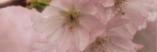 aa_2125's profile banner image