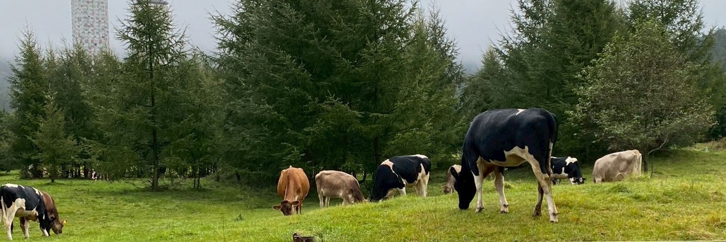 いきなりもじお@新作4/16FANZA同人 banner
