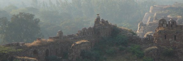 IqbalSevea Profile Banner