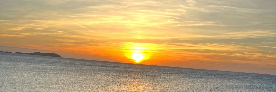 AndreaMoreno2_'s profile banner image