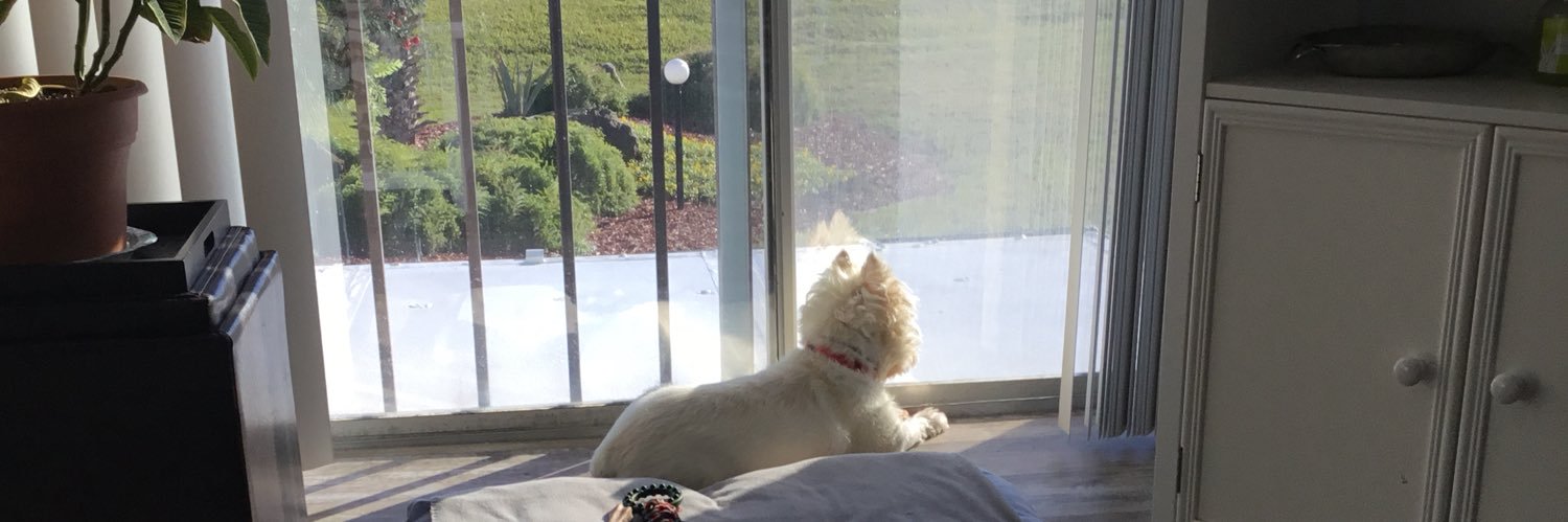 ⭐️EDIE⭐️ banner