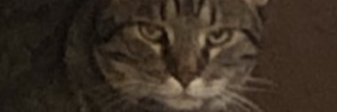 beetlejuuuse's profile banner image