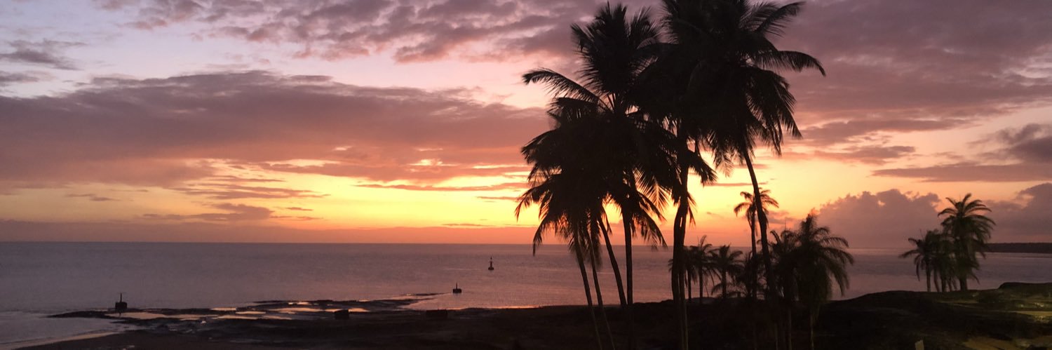 Prof. Günther Hasinger banner