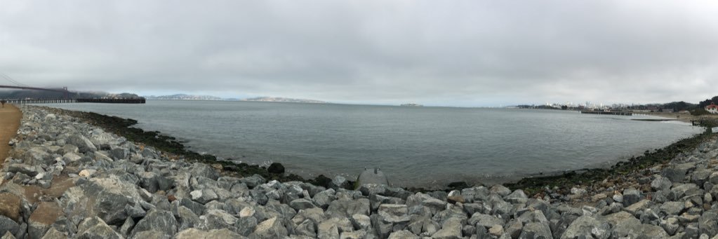 Laura Stewart banner