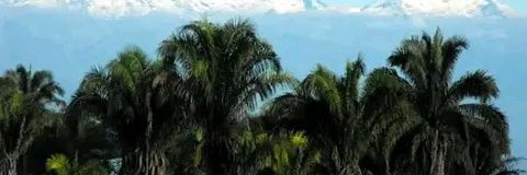Yabarana's profile banner image
