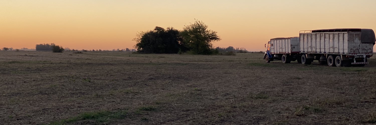 braiflaherty's profile banner image