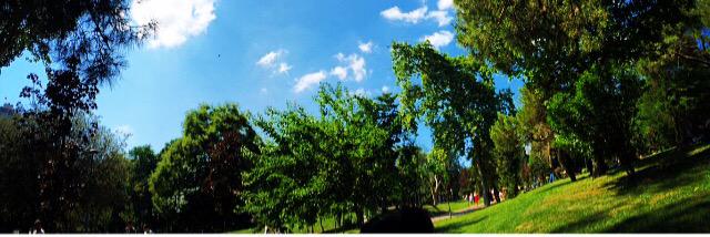ozgebayar's profile banner image