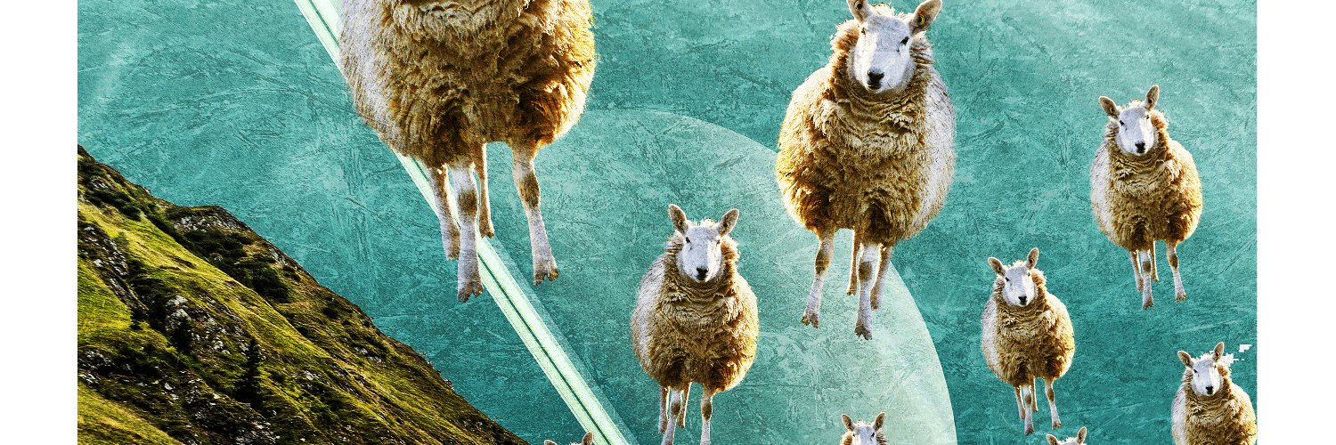 laferte_bernard's profile banner image