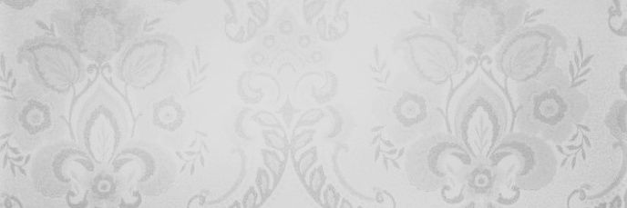 antjekiessler's profile banner image