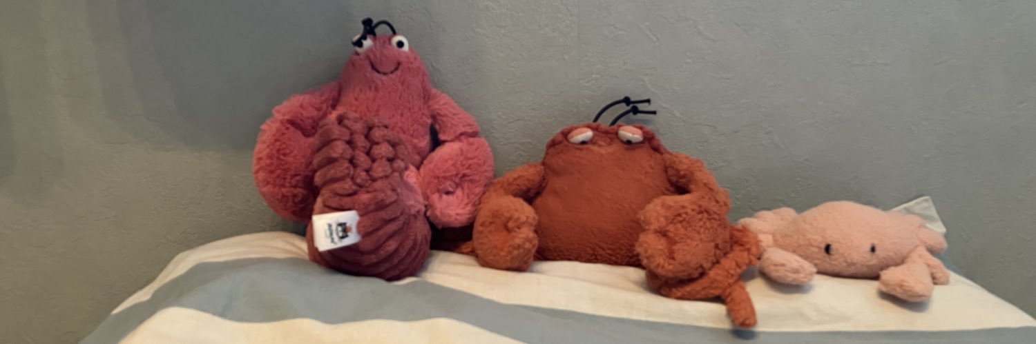 🦀どろん堂カニオ🦞 banner