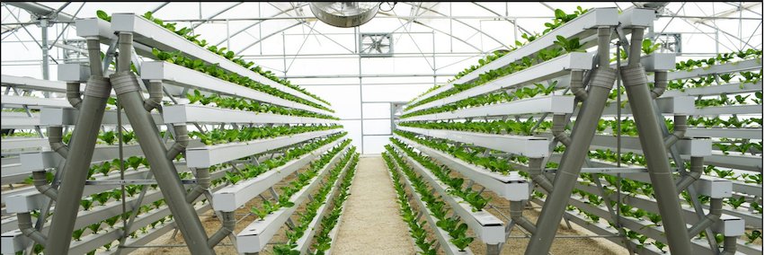 African Association for Vertical Farming banner