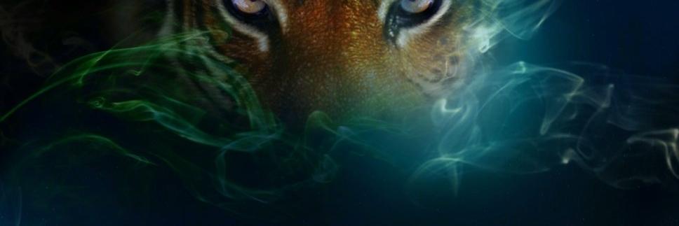 E_mxc_2's profile banner image