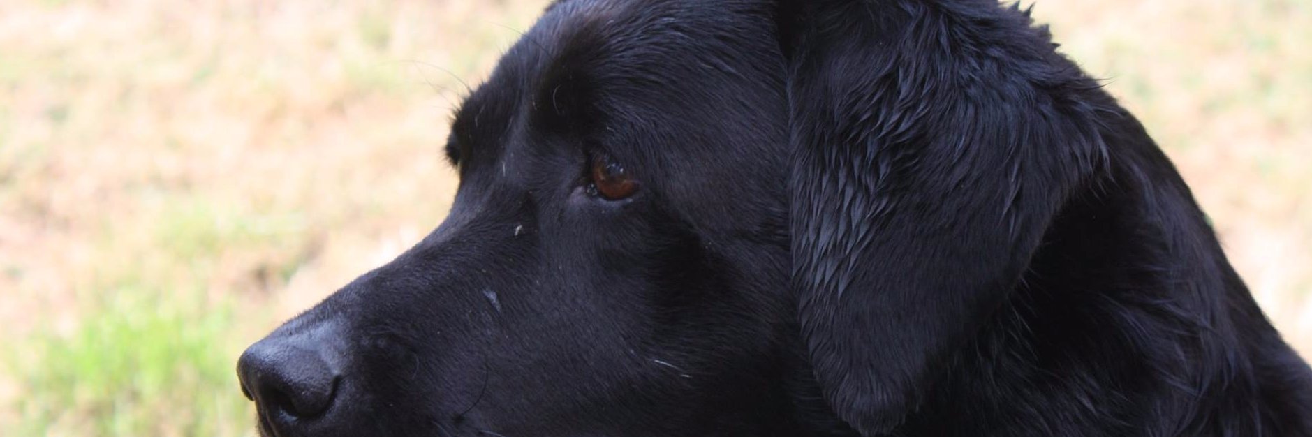 martinterrell3's profile banner image