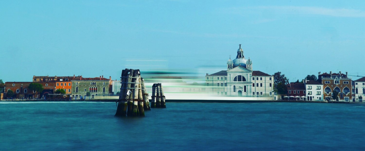 Venice Summer School: Evolutionary Systems Biology's banner