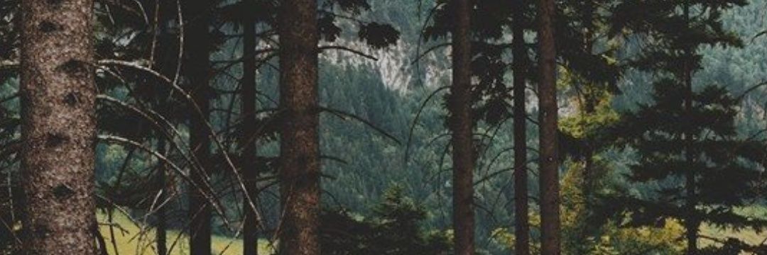 chelsmens's profile banner image