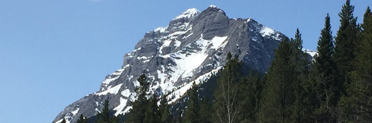 GO_Gillis's profile banner image
