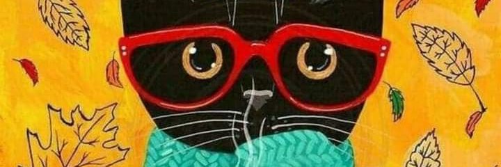 NBethmoon7's profile banner image