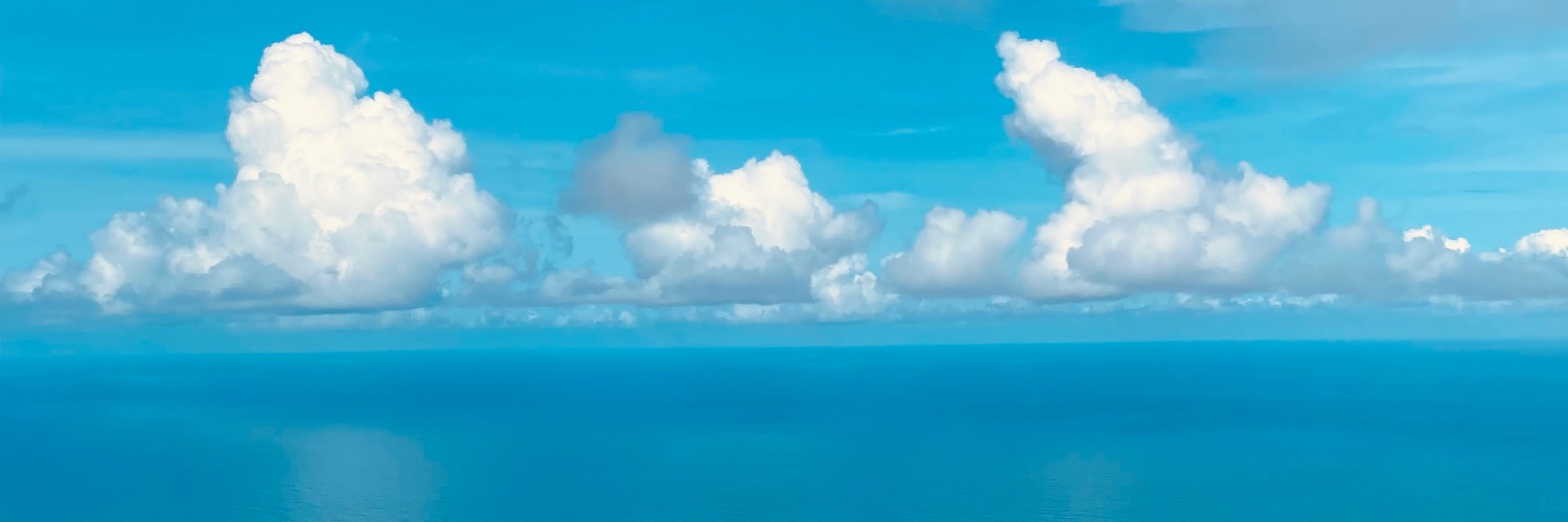 polylac's profile banner image