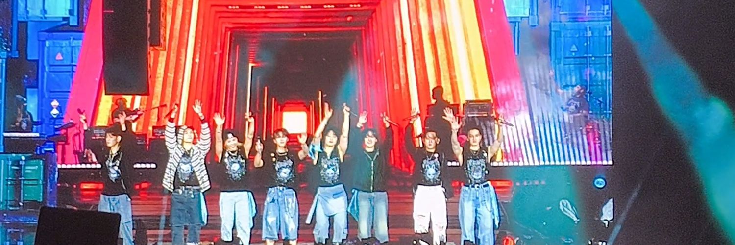 tori🌹 VAI VER O SKZ DNV banner