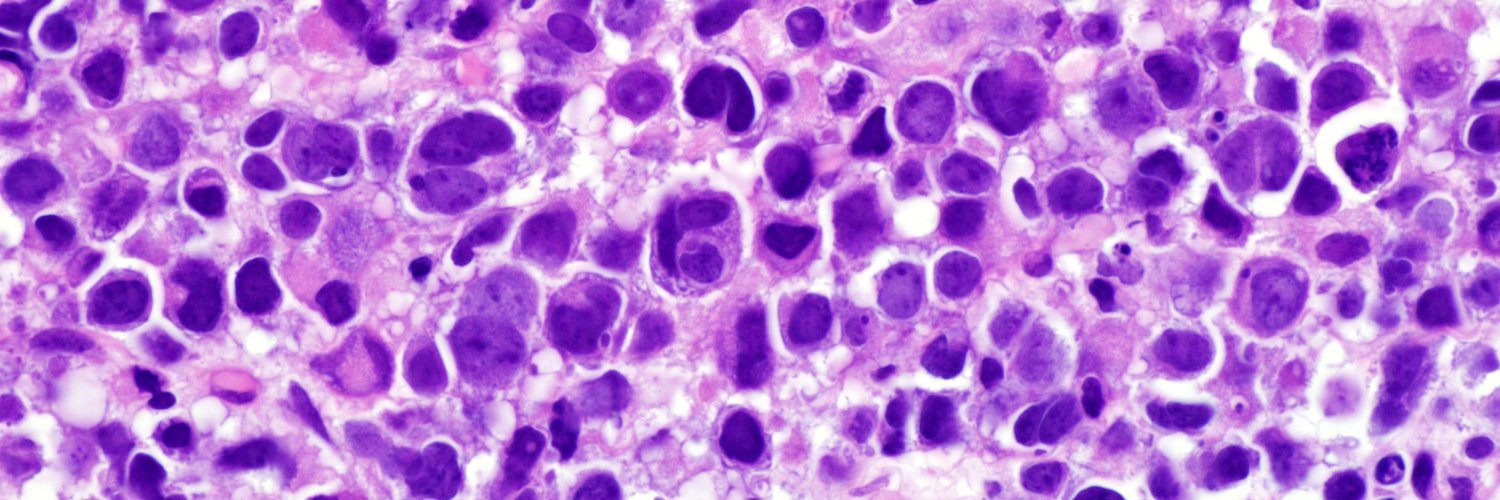 Elise Venable, MBBS banner