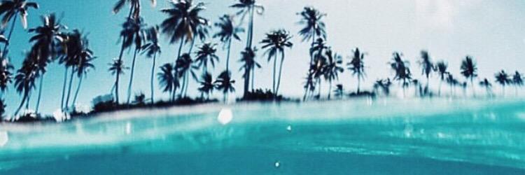 AnnitaNath's profile banner image