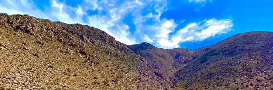 J E S S I C A...M♔ banner