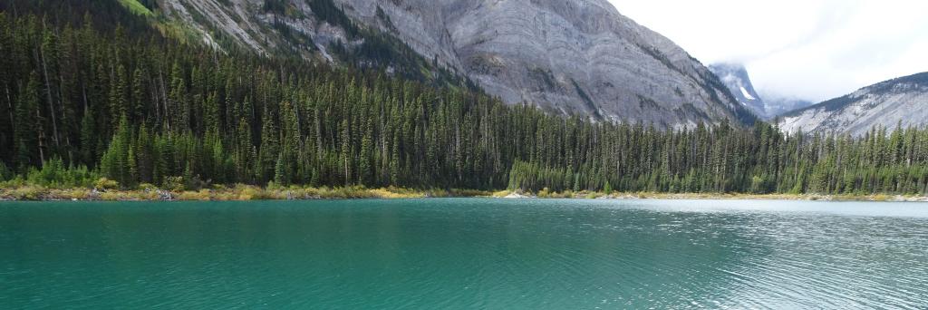 forWater Network banner