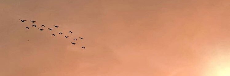 AdileCapraz's profile banner image