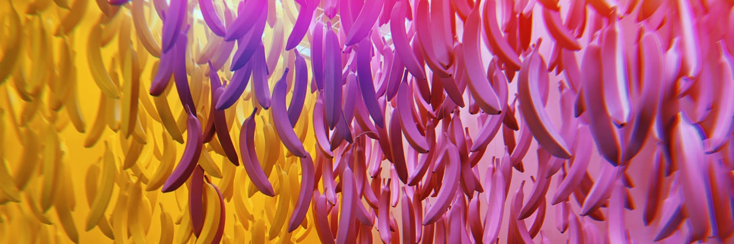 abcAmyBee's profile banner image