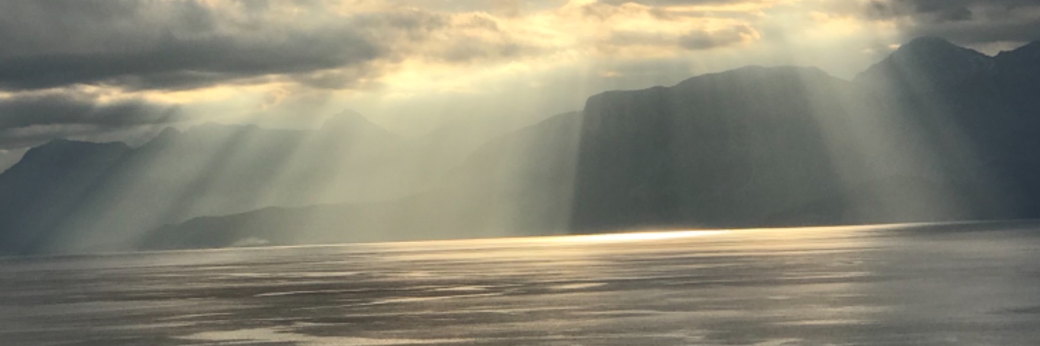 schatu_si's profile banner image