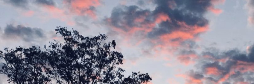 Qeeda09's profile banner image
