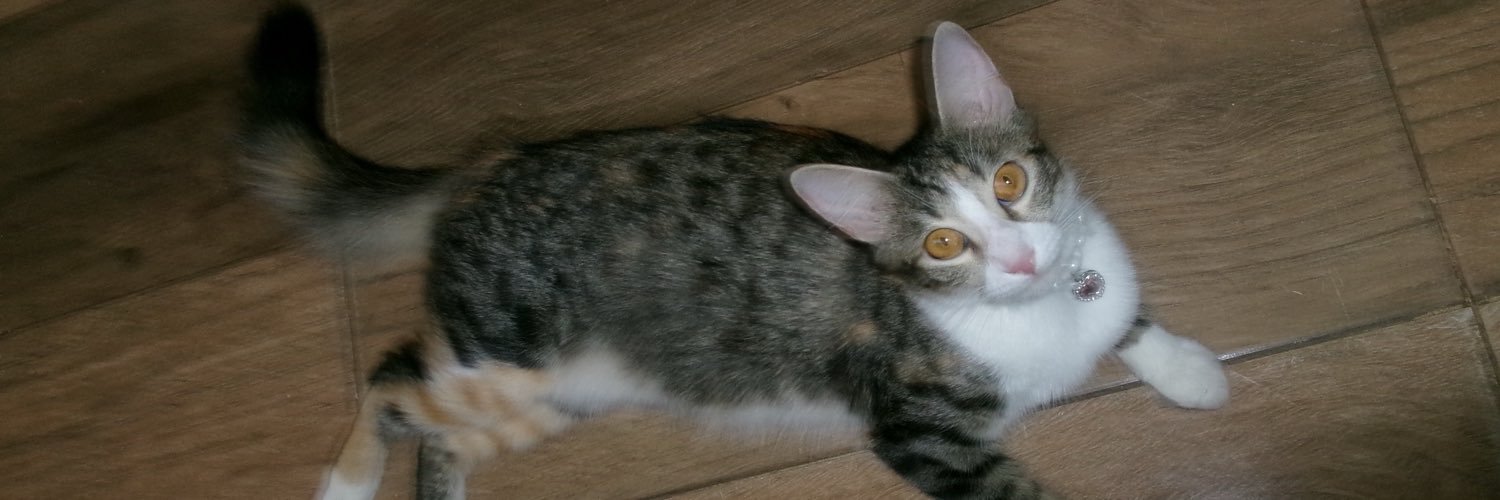 DaniCastilla03's profile banner image