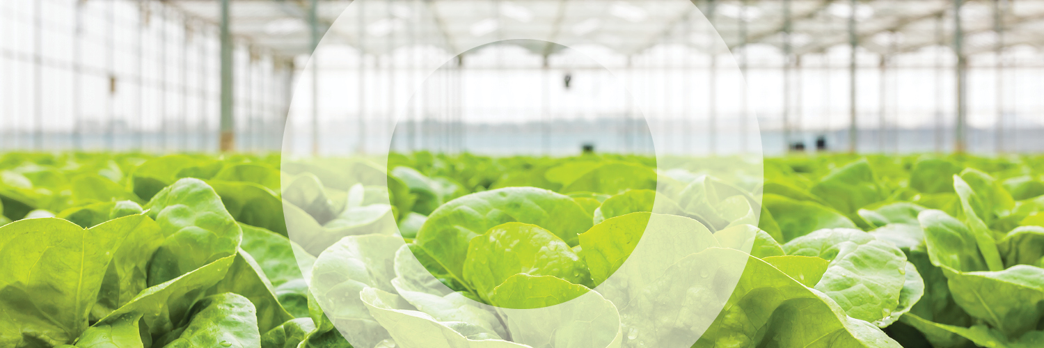 InnovatureNow banner