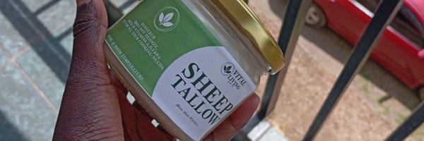 Ruthjelagat13 Profile Banner