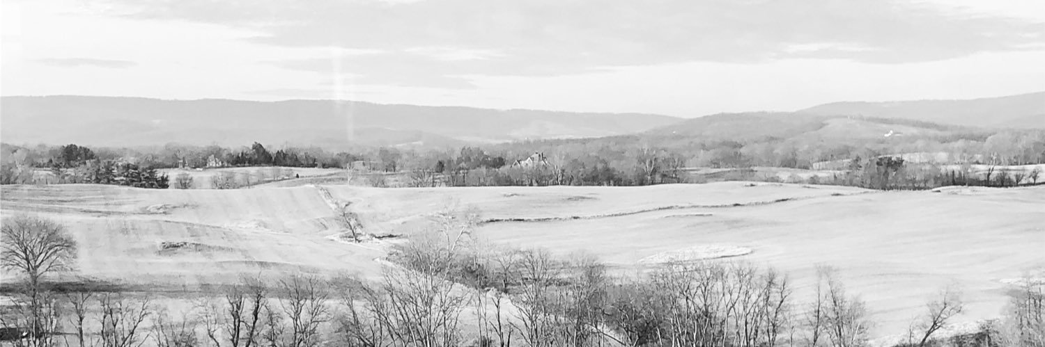 JustCreatePeace's profile banner image