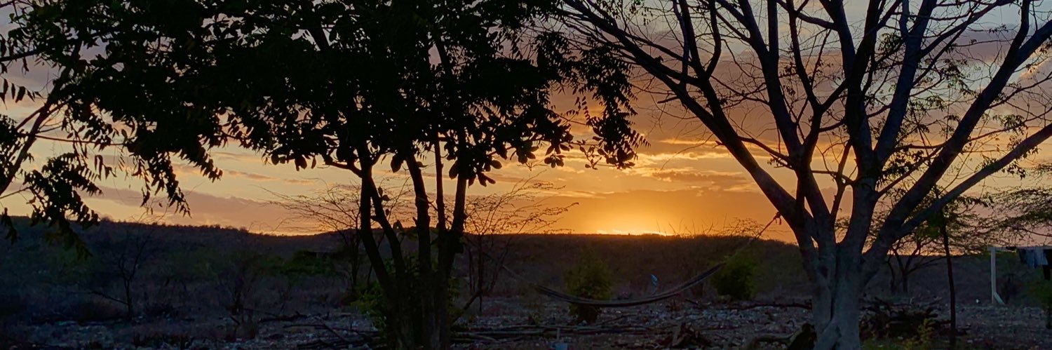 lbenner4's profile banner image