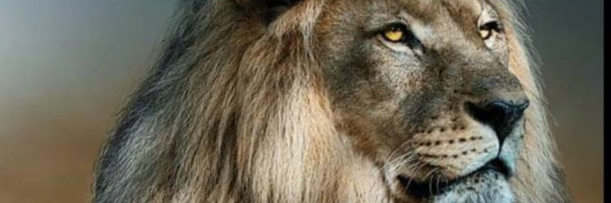 MeeryQ's profile banner image