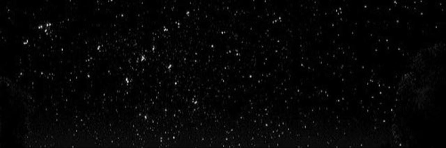 the__aysha's profile banner image