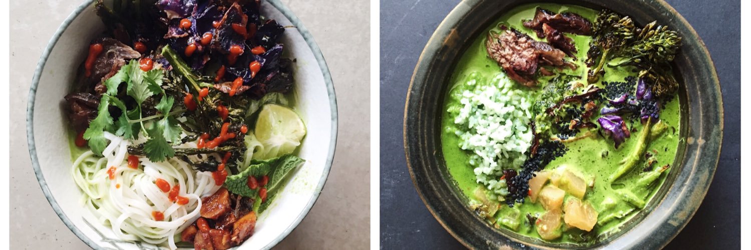 Stephanie A. Meyer banner