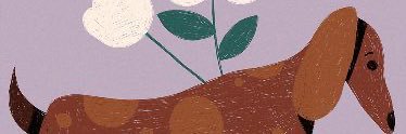 romisalinas19's profile banner image