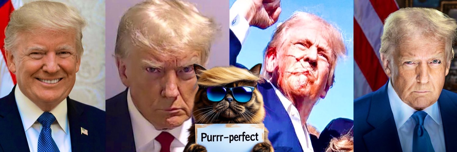 Trump Cat Leader banner