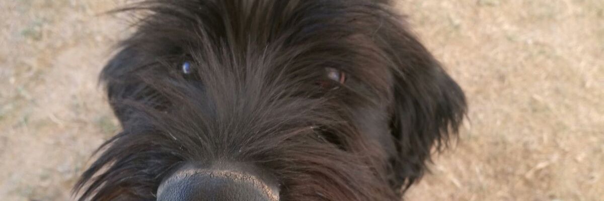mel_ISF's profile banner image