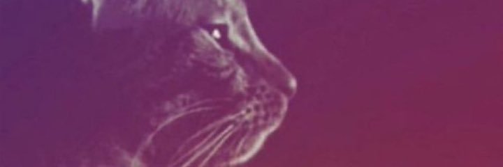 waffles banner