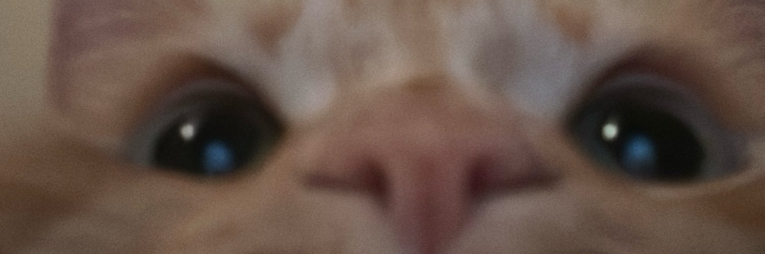 CandyWarhooool's profile banner image