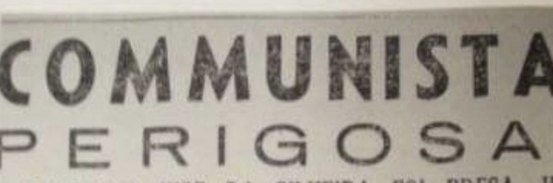 Peruquinha do Belo🌳⚡️ banner